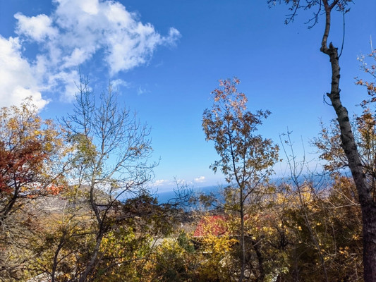 Продам участок 8 соток, ИЖС, Зеленая ул, 21, Малый Маяк с, 0 км от города