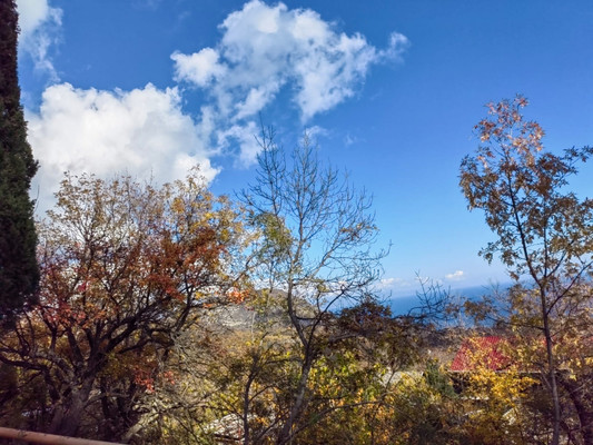 Продам участок 8 соток, ИЖС, Зеленая ул, 21, Малый Маяк с, 0 км от города