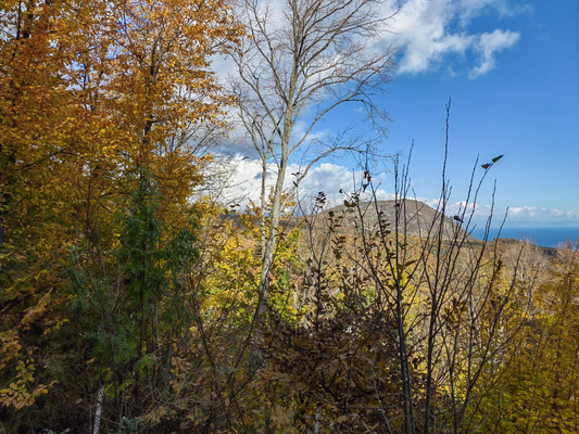 Продам участок 8 соток, ИЖС, Зеленая ул, 21, Малый Маяк с, 0 км от города