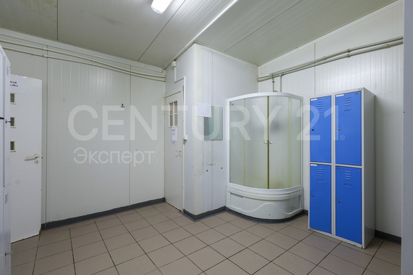 Продам коммерческое помещение 954,2 м2, Победы ул, 59А , Березовка п