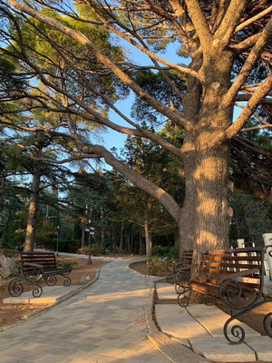 Продам торговое помещение 340 м2, Алупкинское ш, 48ф, Гаспра пгт