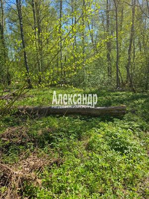 Продам участок 15 соток, ИЖС, район п. Харвиа тер, 200 км от города