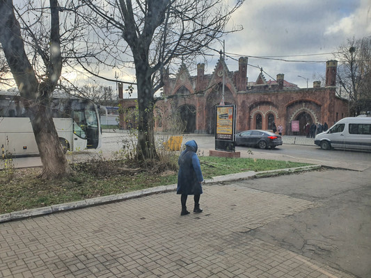 Сдам коммерческое помещение 110,1 м2, Багратиона ул, 160, Калининград г