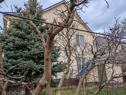 Продам дом, Черноморский (Южное тер. ДНТ) пер, 15, Красный х, 0 км от города