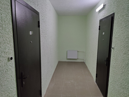 Продам однокомнатную (1-комн.) квартиру, Школьная ул, 2, Визябож п