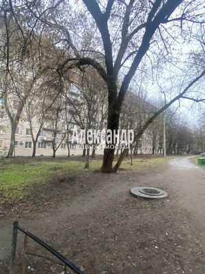 Продам двухкомнатную (2-комн.) квартиру, Ланское ш, 6, Санкт-Петербург г