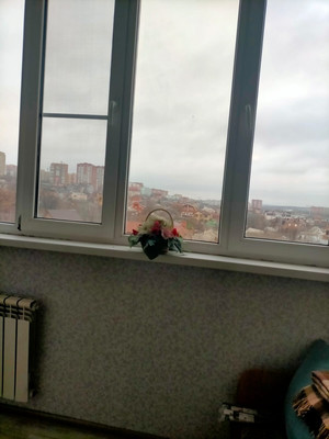 Продам однокомнатную (1-комн.) квартиру, Дубовский пер, 9в, Ростов-на-Дону г