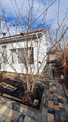 Продам дом, Покровская ул, 13, Мирное с, 0 км от города