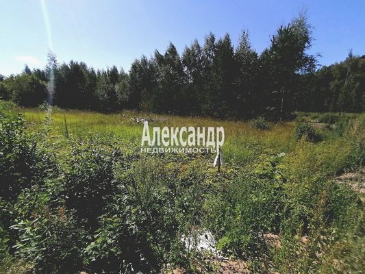 Продам участок 10 соток, Садоводство, ДНП Северное раздолье тер, 131 км от города