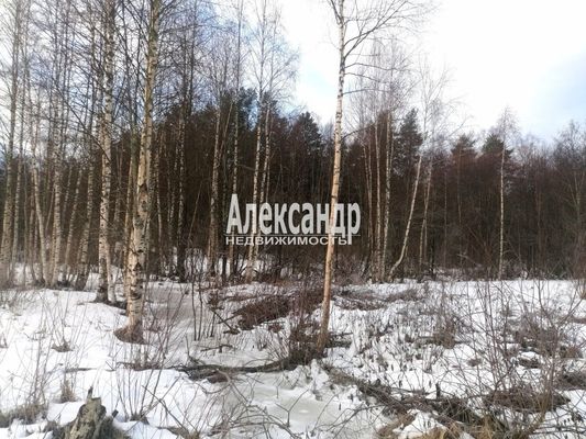 Продам участок 10 соток, Садоводство, ДНП Северное раздолье тер, 131 км от города