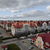 Продам коммерческое помещение 12 м2, Пражский б-р, 1в , Гурьевск г