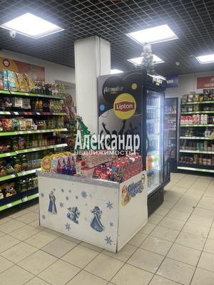 Сдам торговое помещение 300 м2, Энтузиастов пр-кт, 33к1, Санкт-Петербург г