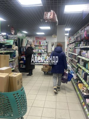 Сдам торговое помещение 300 м2, Энтузиастов пр-кт, 33к1, Санкт-Петербург г