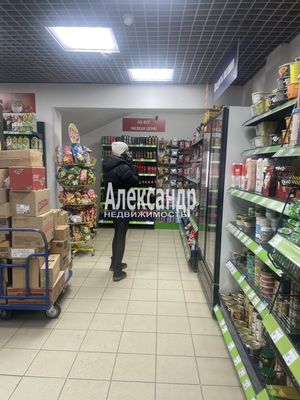Сдам торговое помещение 300 м2, Энтузиастов пр-кт, 33к1, Санкт-Петербург г