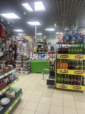 Сдам торговое помещение 300 м2, Энтузиастов пр-кт, 33к1, Санкт-Петербург г