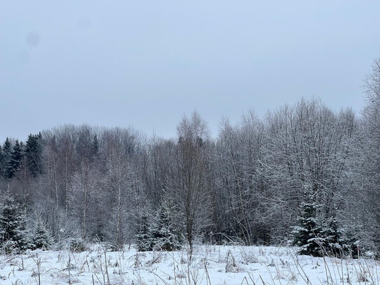 Продам участок 6 соток, Садоводство, ДСК Международник тер, Софьино д, 0 км от города