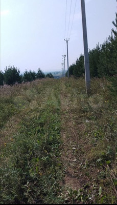 Продам участок 9 соток, ИЖС, Сергея Лазо ул, Урик с, 0 км от города