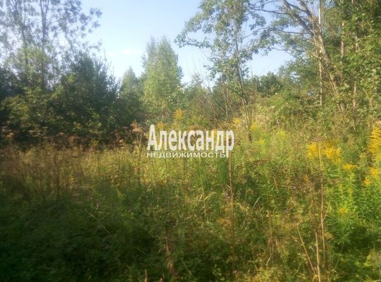 Продам участок 12 соток, Садоводство, поселок СНТ КЛИМОВО, ССНТ массива Радофинниково тер, 122 км от города