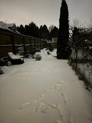 Продам дом, Карпинского ул, 13, Удельная дп, 0 км от города