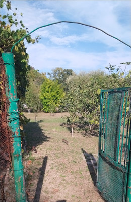 Продам участок 6,46 соток, Фермерское хоз., садоводческое товарищество Солнечное тер, Шепси с, 0 км от города