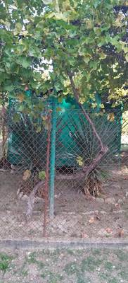 Продам участок 6,46 соток, Фермерское хоз., садоводческое товарищество Солнечное тер, Шепси с, 0 км от города