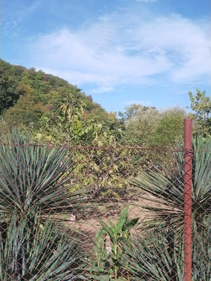 Продам участок 6,46 соток, Фермерское хоз., садоводческое товарищество Солнечное тер, Шепси с, 0 км от города