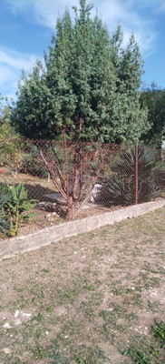 Продам участок 6,46 соток, Фермерское хоз., садоводческое товарищество Солнечное тер, Шепси с, 0 км от города