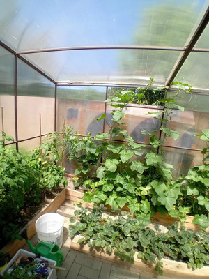 Продам дом, Ильская ул, 33, Северская ст-ца, 0 км от города