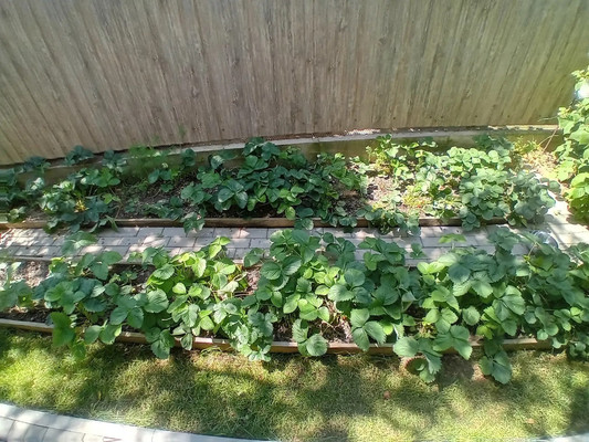 Продам дом, Ильская ул, 33, Северская ст-ца, 0 км от города