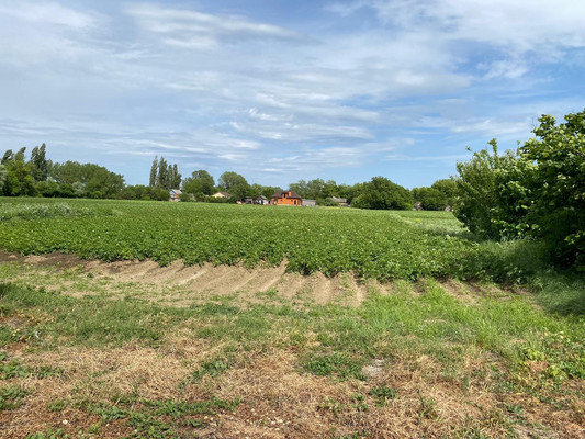 Продам дом, Центральная ул, 9, Ананьевский х, 0 км от города