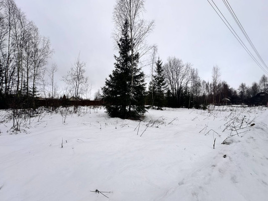 Продам участок 9,89 соток, Фермерское хоз., объединения Вороново тер, Вороново с, 0 км от города