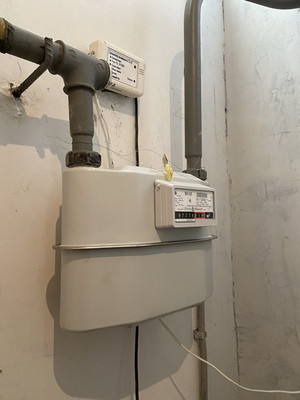 Продам дом, Животино д, 0 км от города