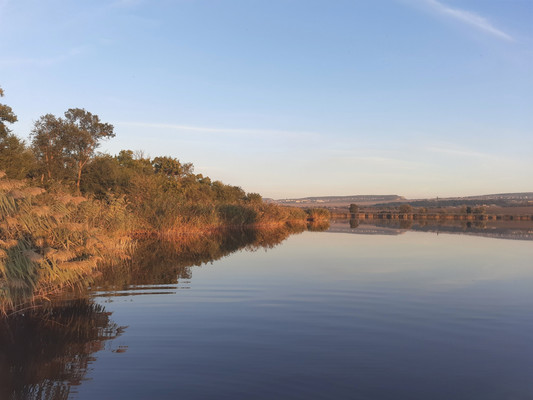 Продам участок 6 соток, Фермерское хоз., Родничок тер. СПК, Ключи с, 0 км от города