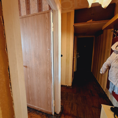 Продам трехкомнатную (3-комн.) квартиру, Зеленый городок ул, 18, Удельная дп