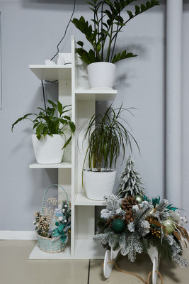 Сдам салон красоты 109 м2, Капитана Егорова ул, 13, Мурманск г