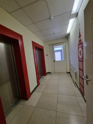 Сдам однокомнатную (1-комн.) квартиру, Строителей пр-кт, 20к1, Кудрово г