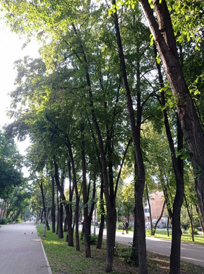 Продам трехкомнатную (3-комн.) квартиру, Культуры ул, 5, Екатеринбург г