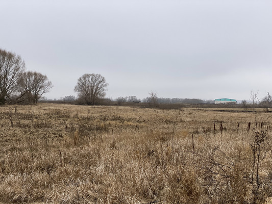 Продам участок 20,94 соток, ИЖС, Октябрьская ул, 79, Новогремяченское с, 0 км от города