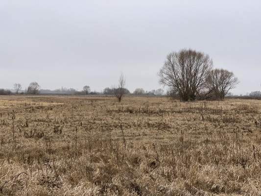 Продам участок 20,94 соток, ИЖС, Октябрьская ул, 79, Новогремяченское с, 0 км от города