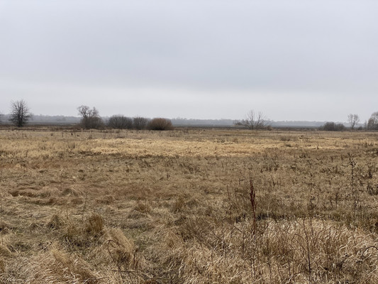 Продам участок 20,94 соток, ИЖС, Октябрьская ул, 79, Новогремяченское с, 0 км от города