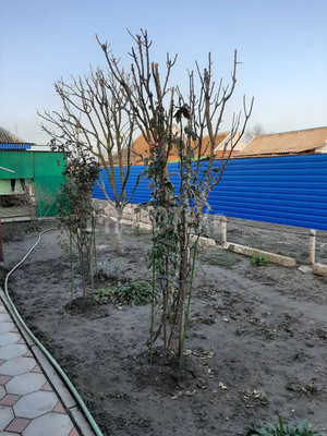 Продам дом, Интернациональная ул, 32, Полтавская ст-ца, 0 км от города