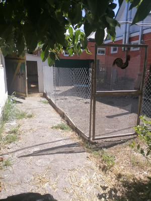 Продам дом, Телеграфная ул, 102, Владимирская ст-ца, 0 км от города