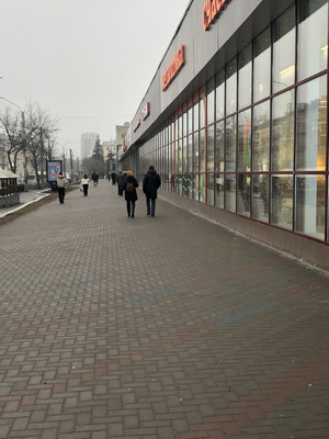 Сдам коммерческое помещение 250 м2, Плехановская ул, 22, Воронеж г