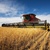 Продам участок 64 454 соток, Фермерское хоз., Каминское с, 38 км от города