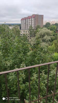 Продам двухкомнатную (2-комн.) квартиру, Солдата Корзуна ул, 52, Санкт-Петербург г