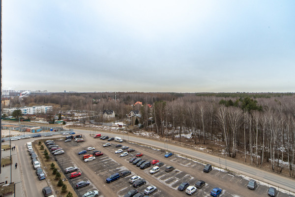Продам однокомнатную (1-комн.) квартиру, Полковника Романова ул, 11, Нагорное п