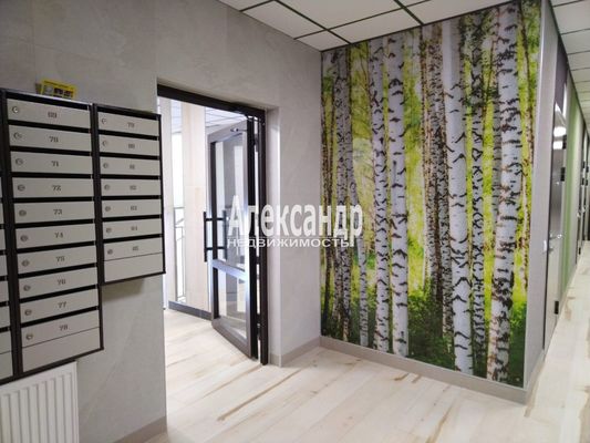 Продам однокомнатную (1-комн.) квартиру, Буденного пр-кт, 24к3, Стрельна п