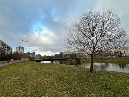 Продам двухкомнатную (2-комн.) квартиру, Солдата Корзуна ул, 20к2, Санкт-Петербург г
