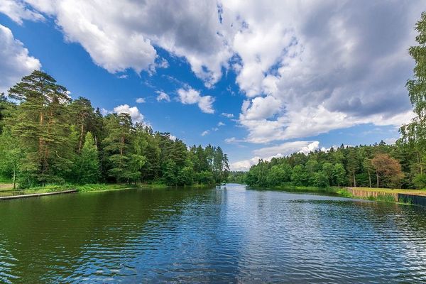 Продам участок 240 соток, ЛПХ, Устье С и Ко снт, Дубна г, 11 км от города