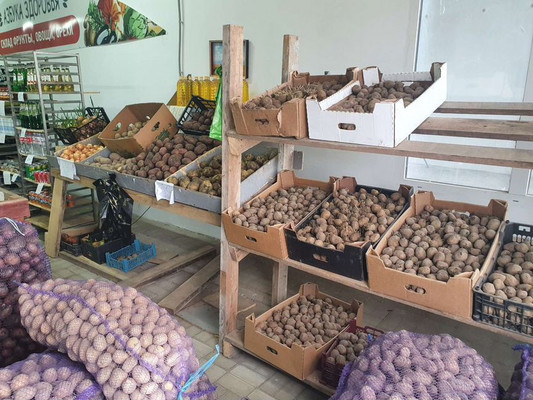 Продам торговое помещение 309,7 м2, К. Пахарь ул, 73б/6, Кавказская ст-ца